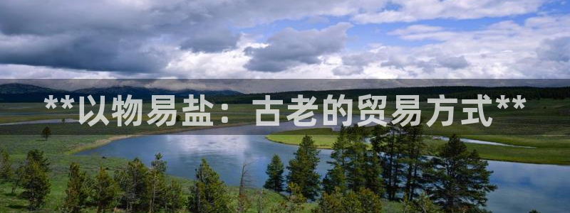 威九国际ppt免费
