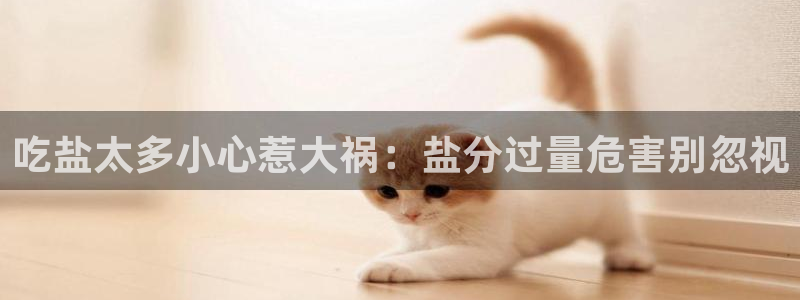 78mapp威九国际媒体