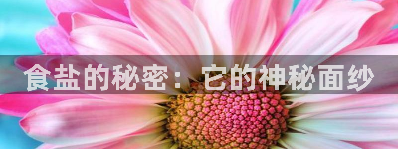威九国际空降