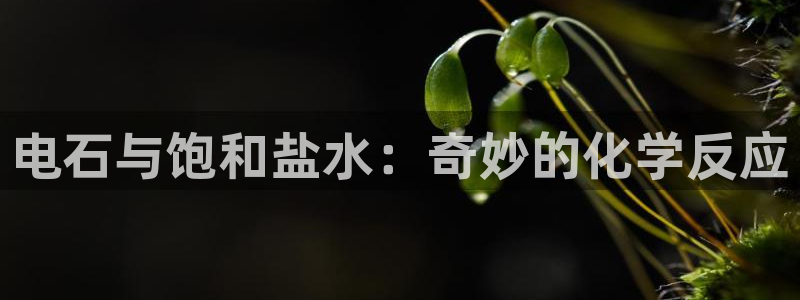 威九国际FT