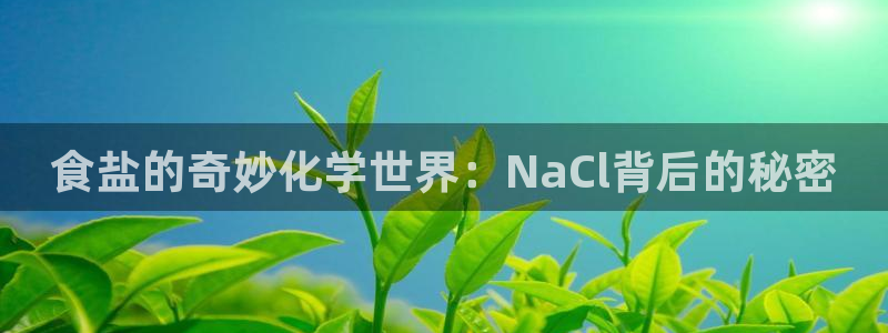 66m威九国际成长模式