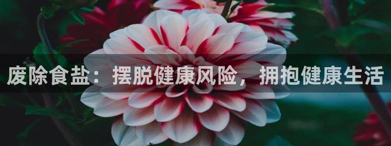 威九国际宣传片