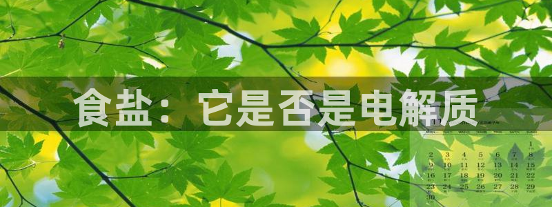保定威九网络科技有限公司电话