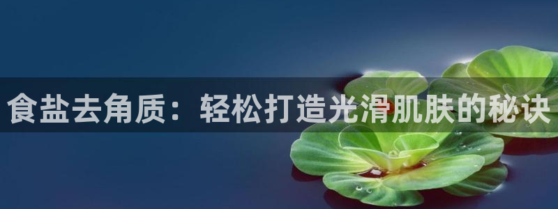 威九国际软件公司简介