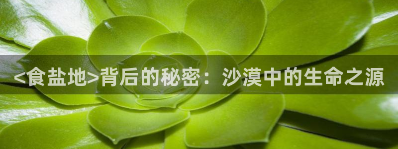 威九国际精