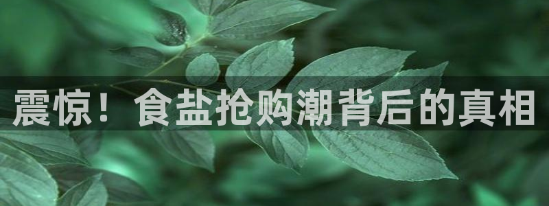 威九国际网站经常打不开