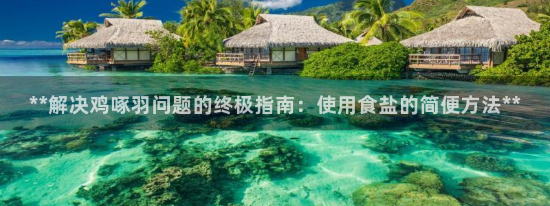 威九国际网站传媒