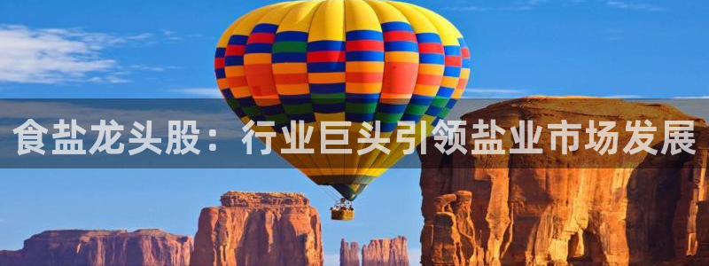 保定威九网络科技有限公司是干嘛的