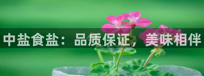 威九国际精甜心诗词网彩片甜心网甜心诗词网