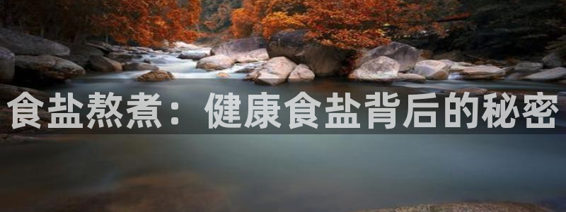 威九国际66m