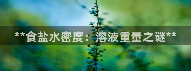 威九国际正规吗
