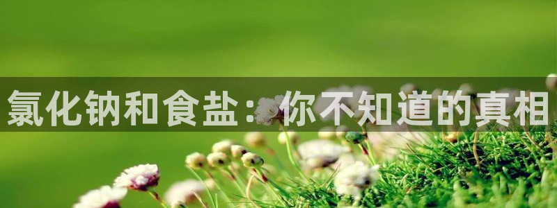 威九国际