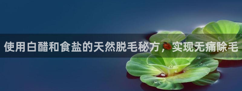 威九国际app哪个地方