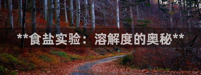 威九国际mm