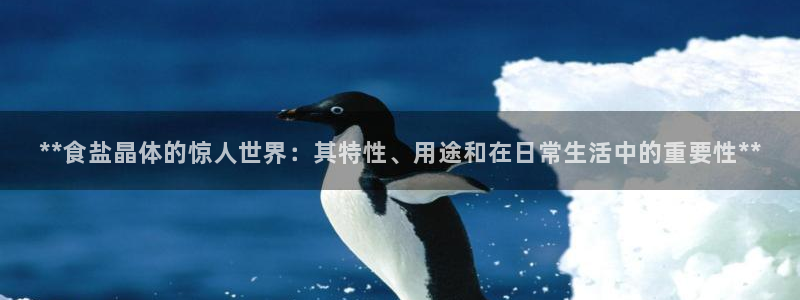 威九国际v96242cc官网版
