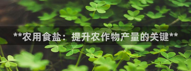 威九国际精选