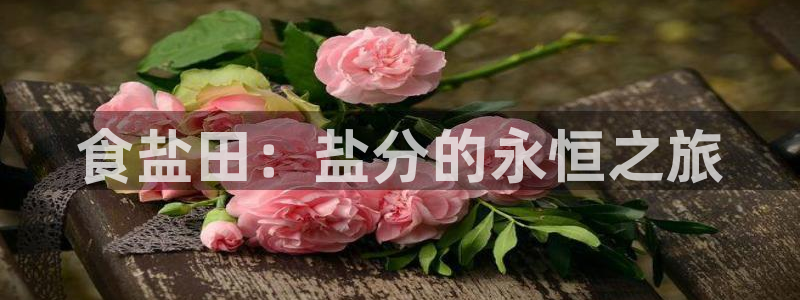 威九国际v8
