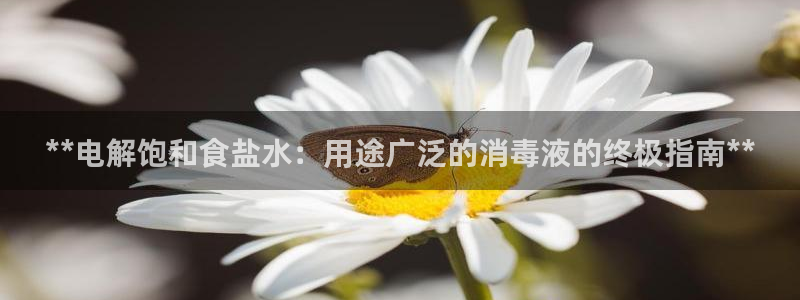 威九国际网站客服电话多少