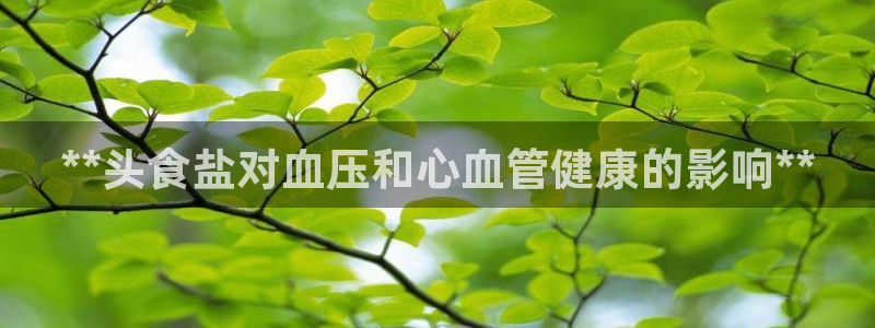 威九国际游戏