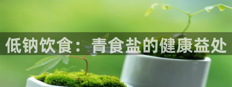 威九国际网页看视频弹窗的广告拦截插件