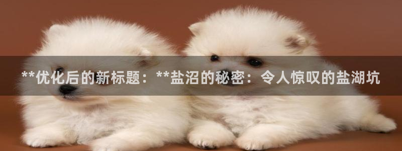 威九国际客服电话是多少