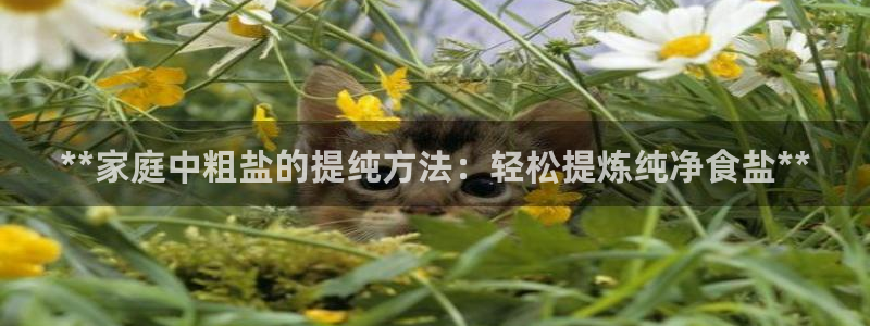 威九国际网站入口官网首页登录