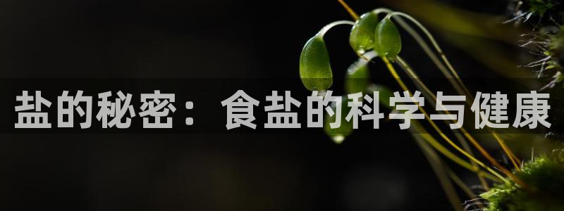 威九国际Info