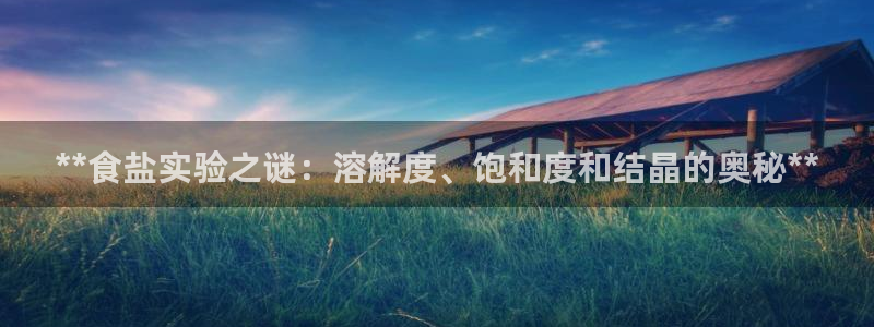 威九国际网站是多少