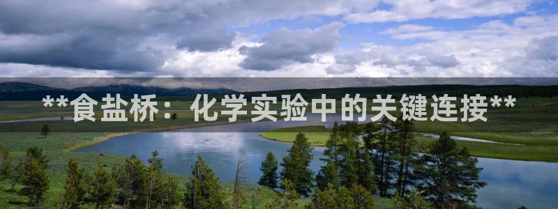威九国际女星