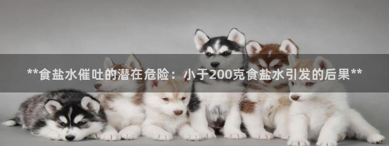 威九国际ppt官网