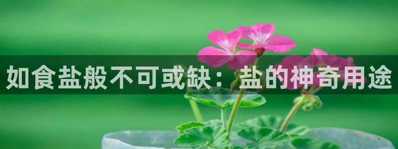 威九国际惠子