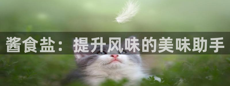 威九国际免费网络站