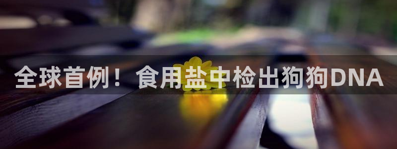 威九国际FT