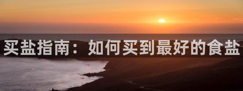 威九国际演员表