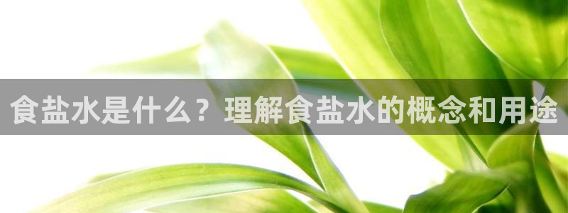 威九国际Info