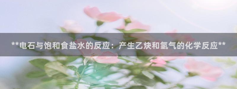 威九国际软件公司简介