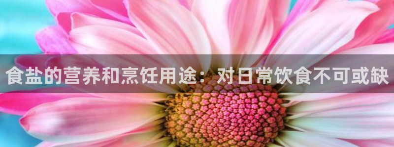 威九国际女