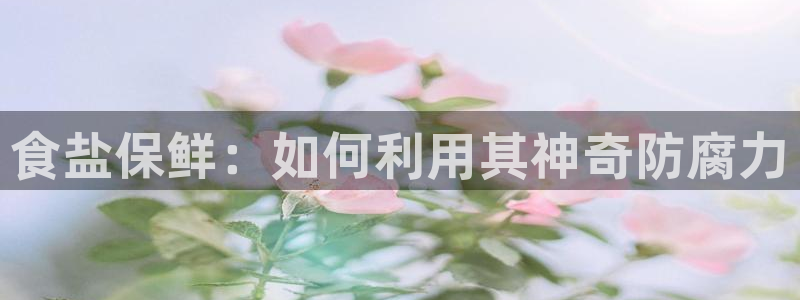 威九国际ppt免费下载网址