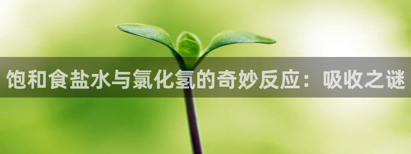 威九国际app