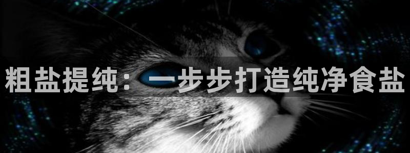 威九国际78mb玩法