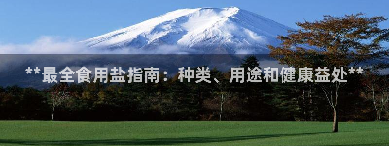 威九国际女主角
