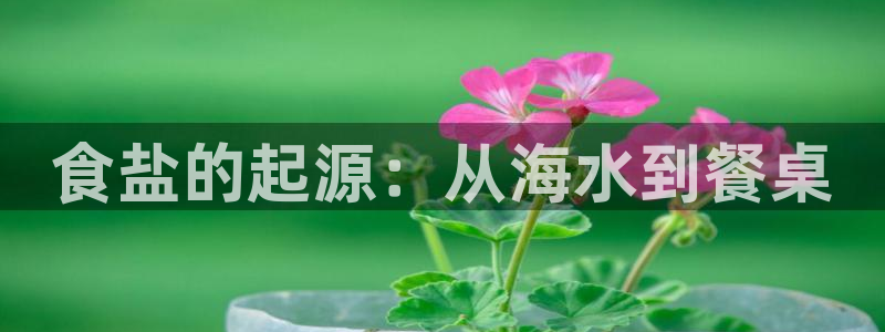 威九国际66cm