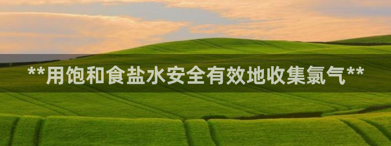 威九国际系列