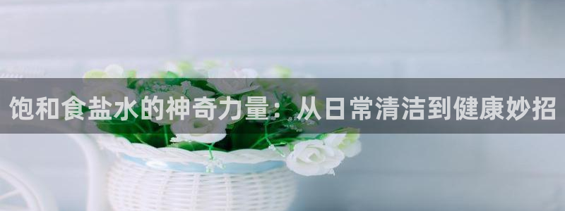 威九国际官网版