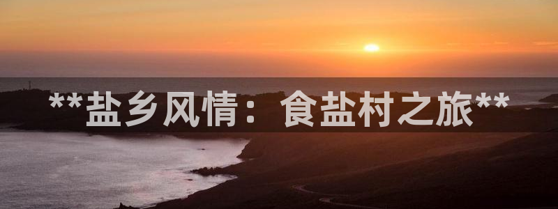 威九国际电子有限公司