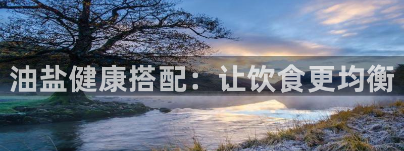 威九国际ppt免费下载
