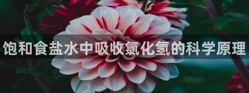 威九国际66m66