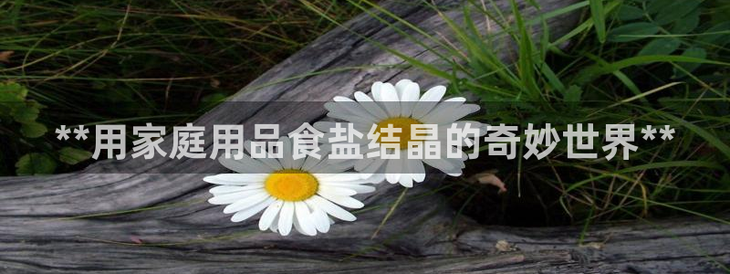 威九国际游戏app(网站)