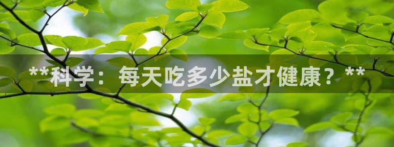 威九国际免费