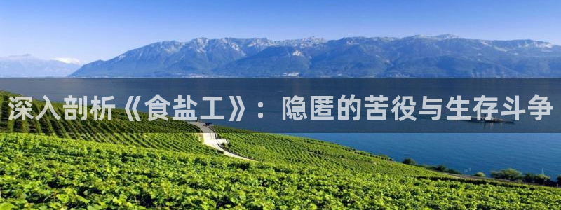 威九国际海域